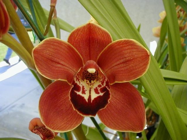 Hidden Treasure 'Goldmine' Hidden Treasure 'Goldmine'