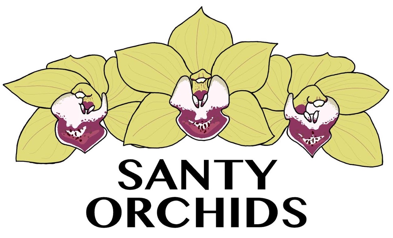 SantyOrchidsLogo